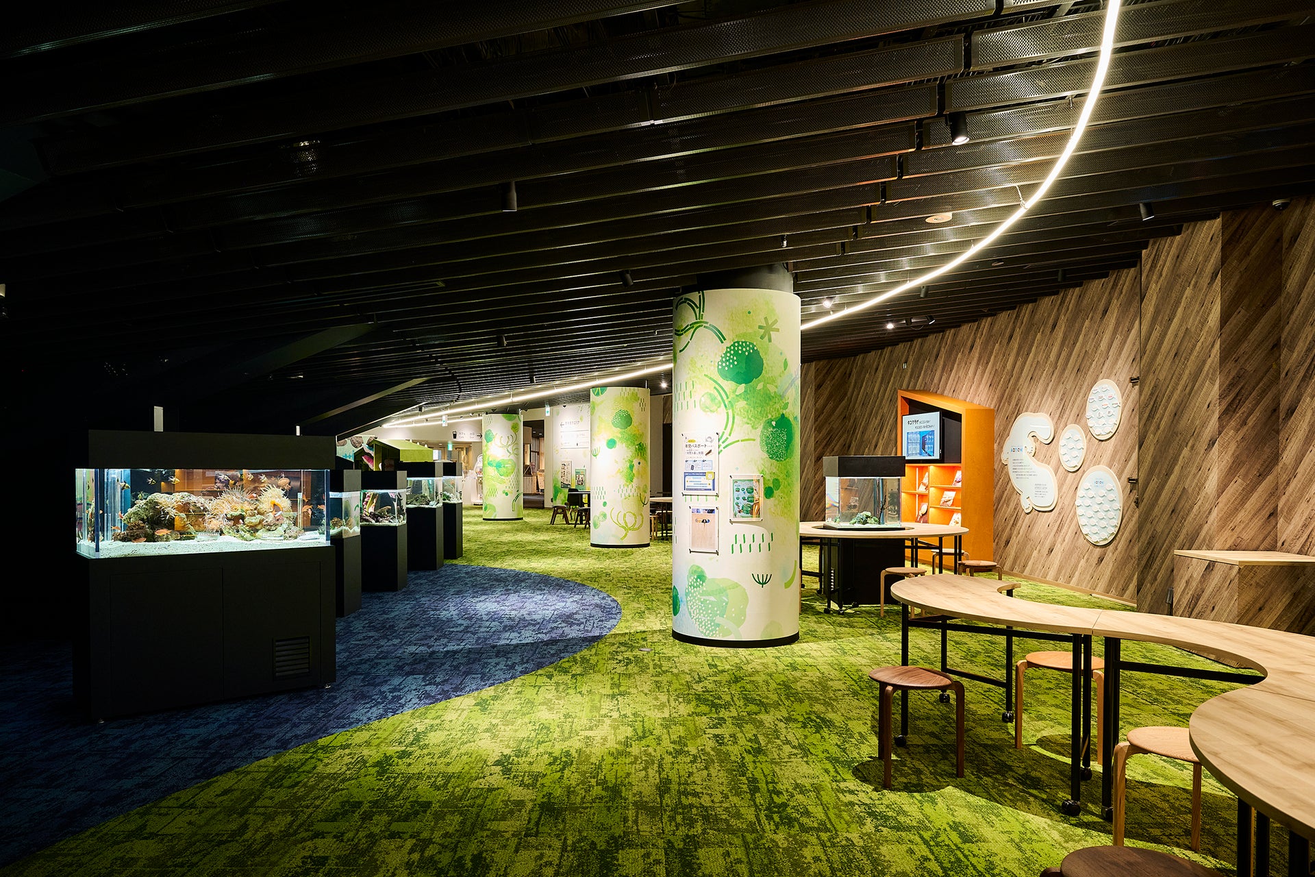 京都水族館「ミテッテ」2