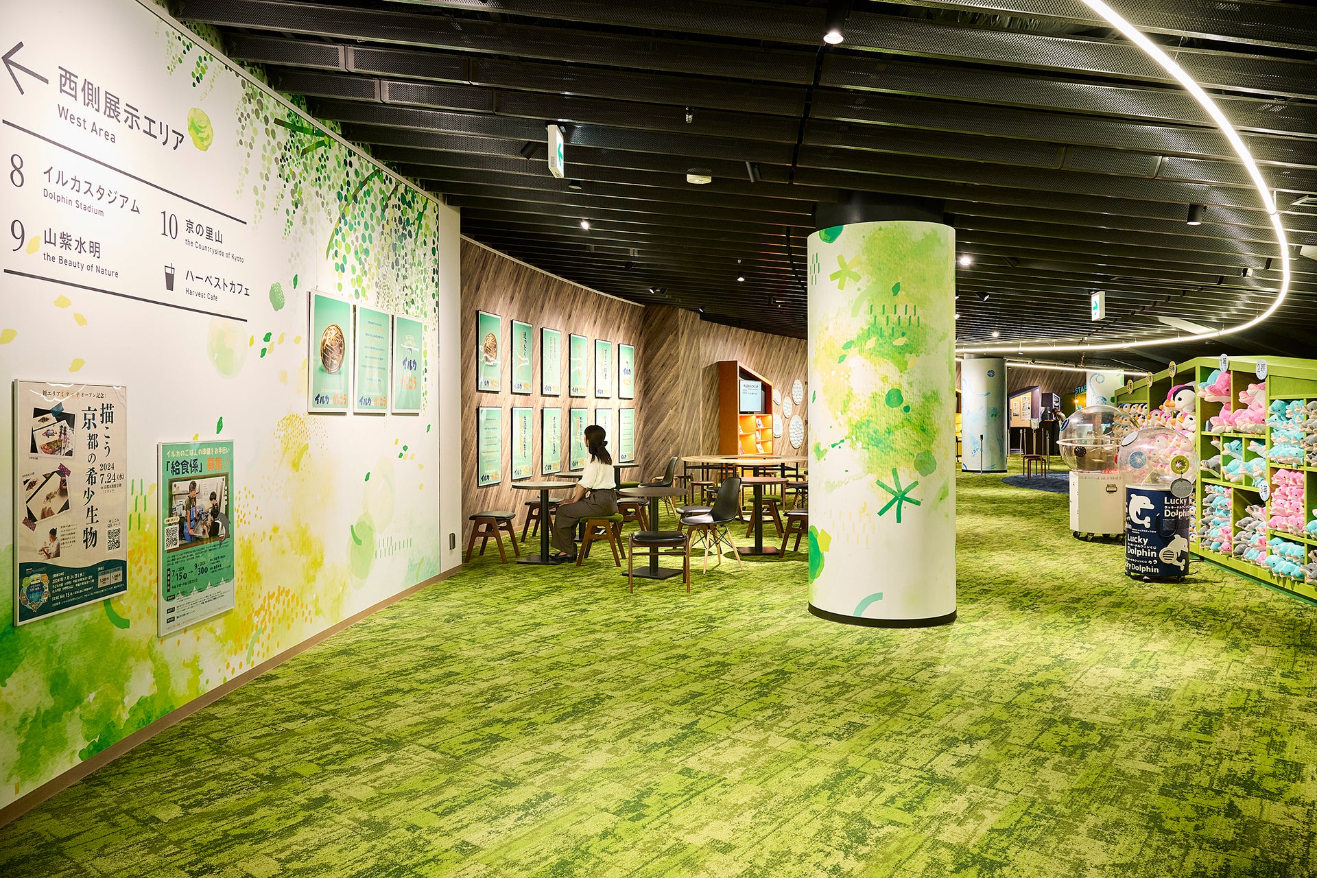 京都水族館「ミテッテ」3