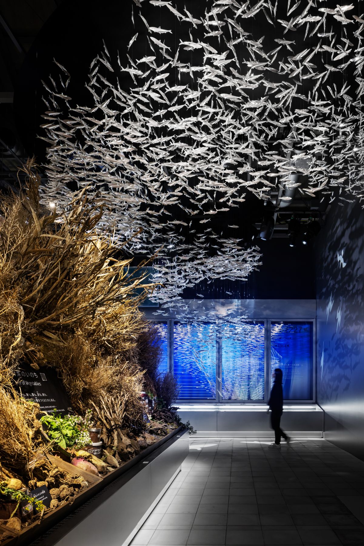 2025年日本国际博览会标志展馆“EARTH MART”2