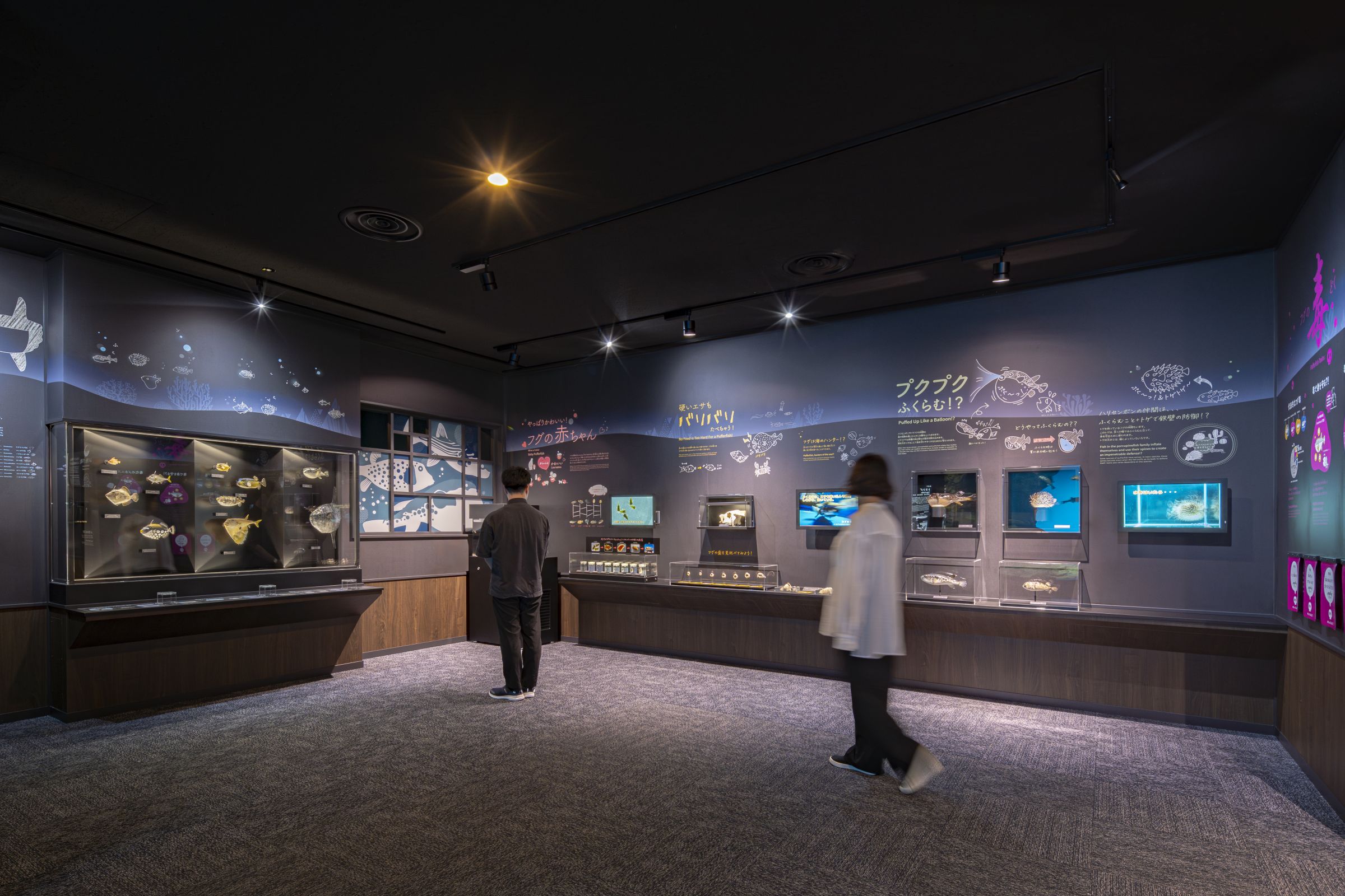 市立しものせき水族館「海響館」 リニューアル | 実績紹介 | 株式会社