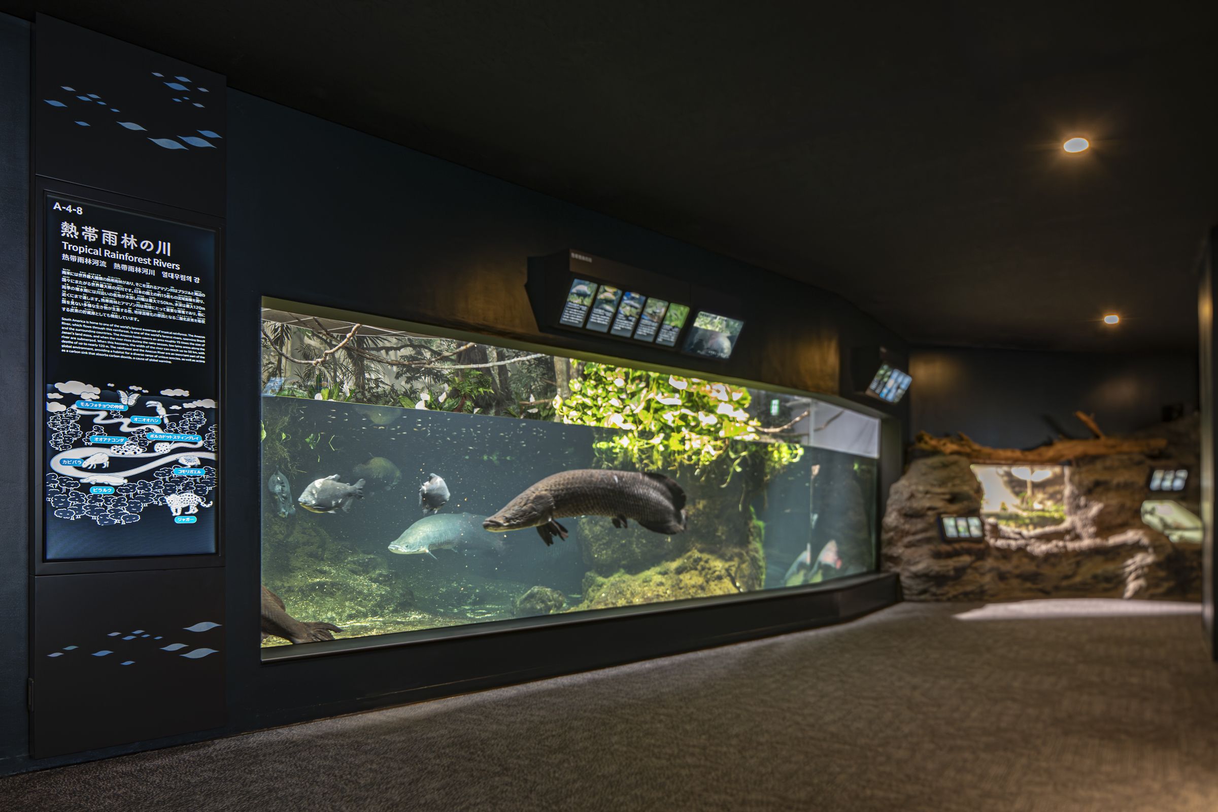 市立しものせき水族館「海響館」 リニューアル | 実績紹介 | 株式会社