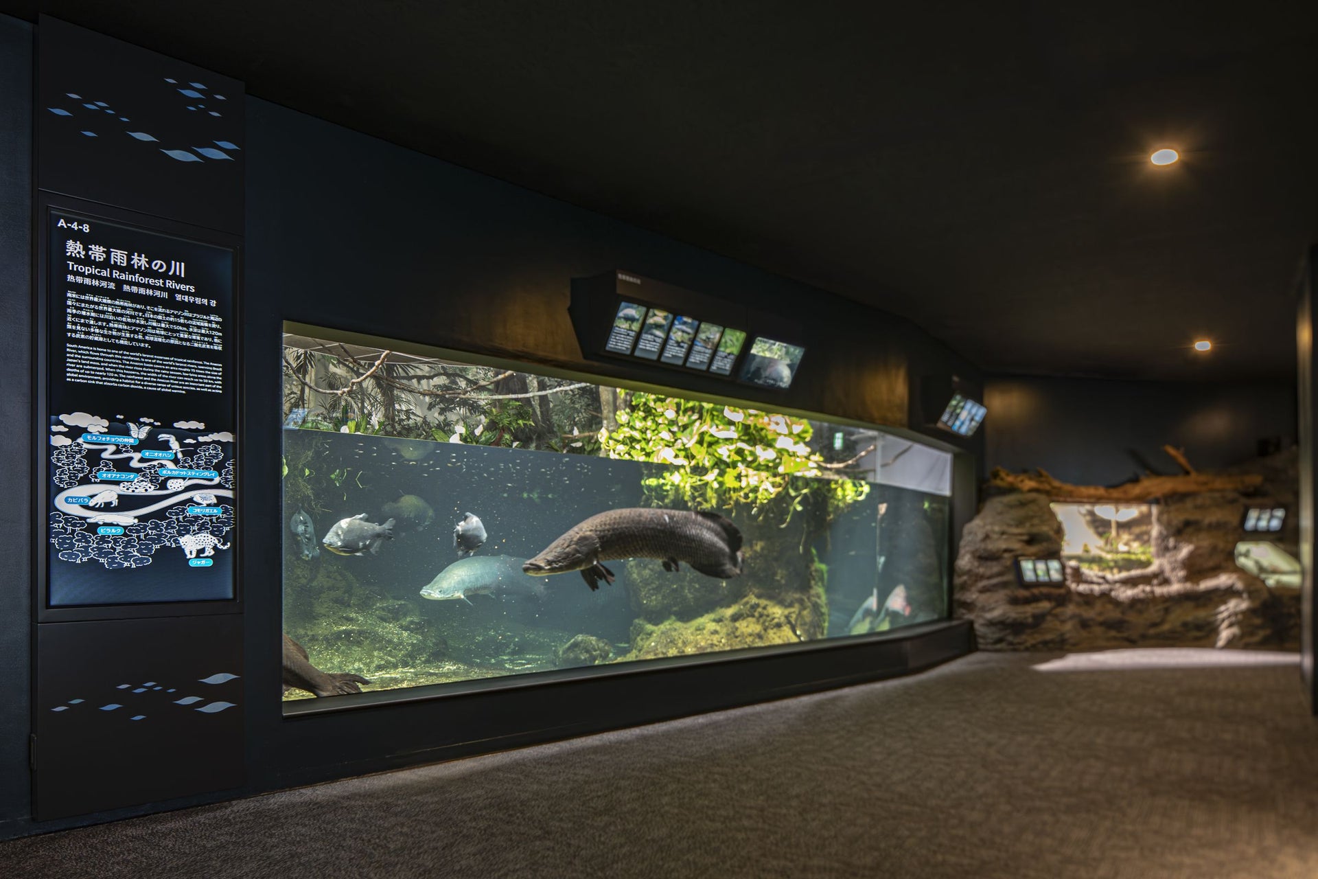 市立しものせき水族館「海響館」　リニューアル1