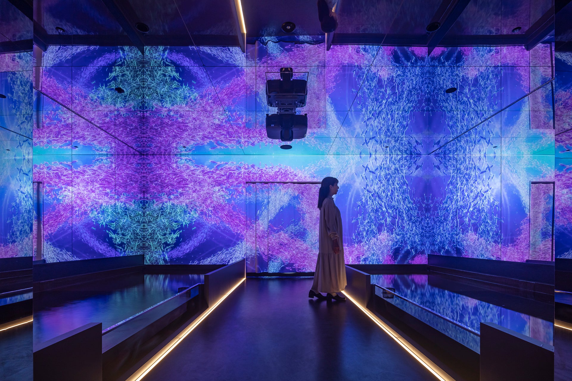 ファーストビューの画像