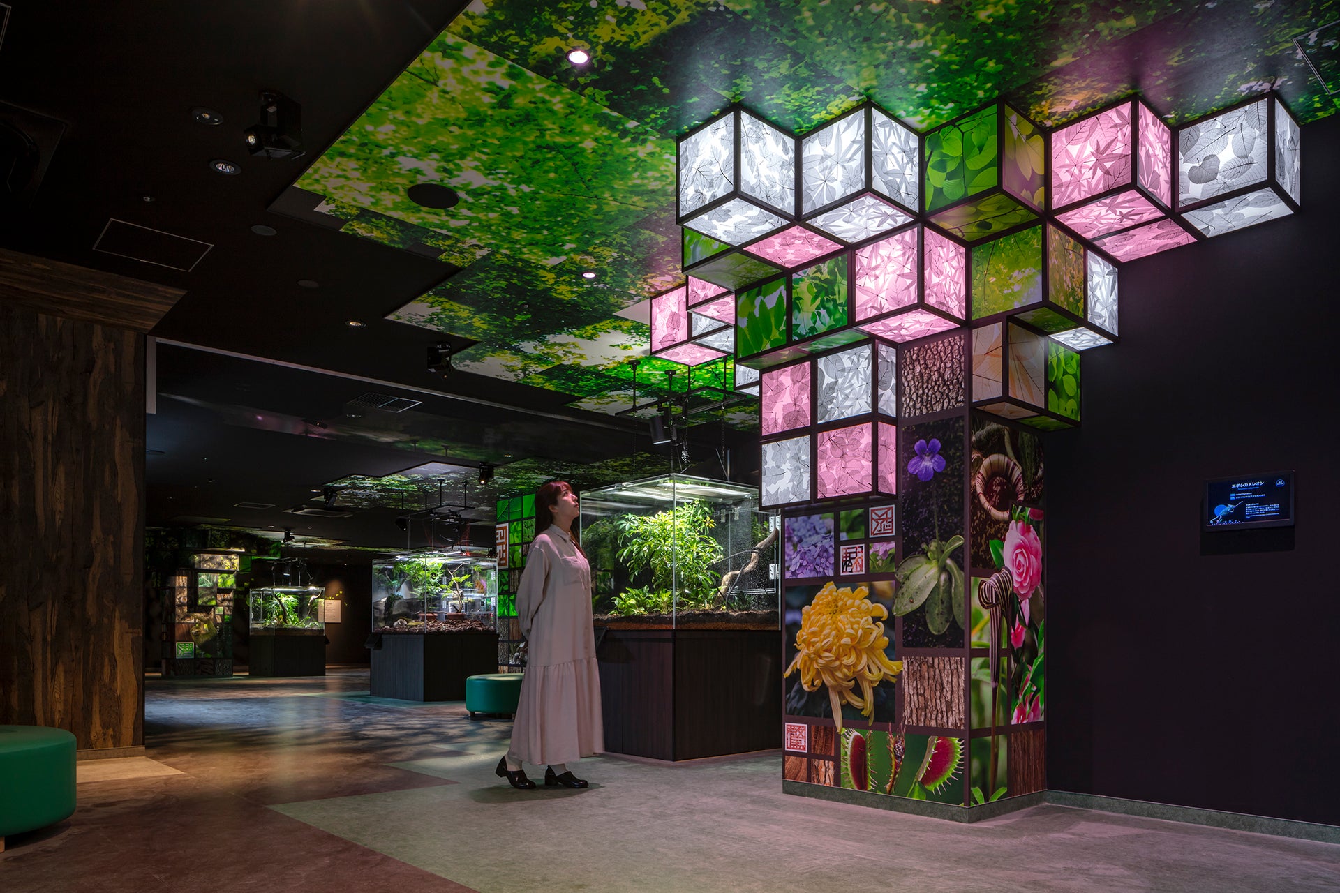 ファーストビューの画像