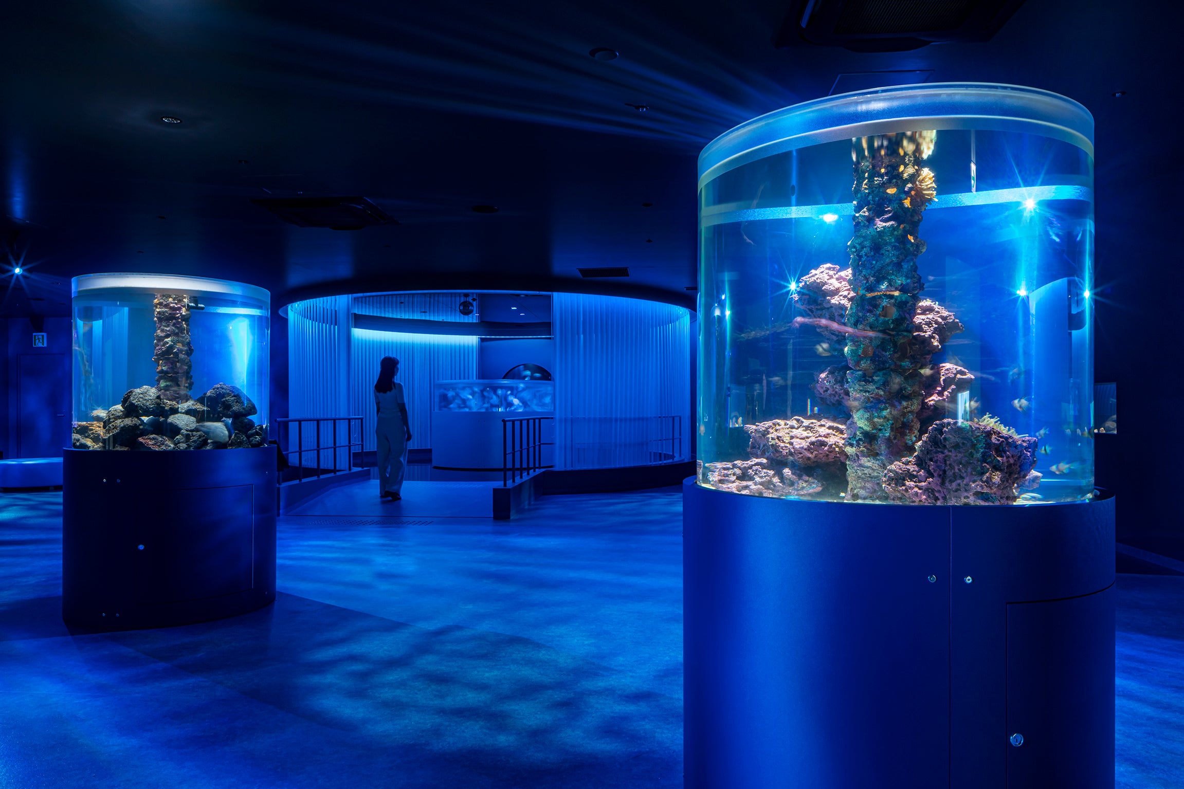 広島もとまち水族館 | 実績紹介 | 株式会社乃村工藝社