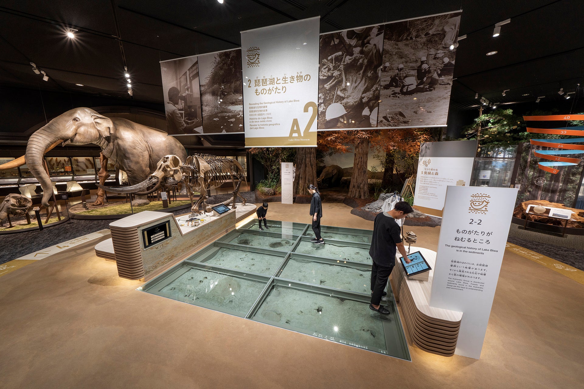 滋賀県立琵琶湖博物館第3期リニューアル | 実績紹介 | 株式会社乃村工藝社