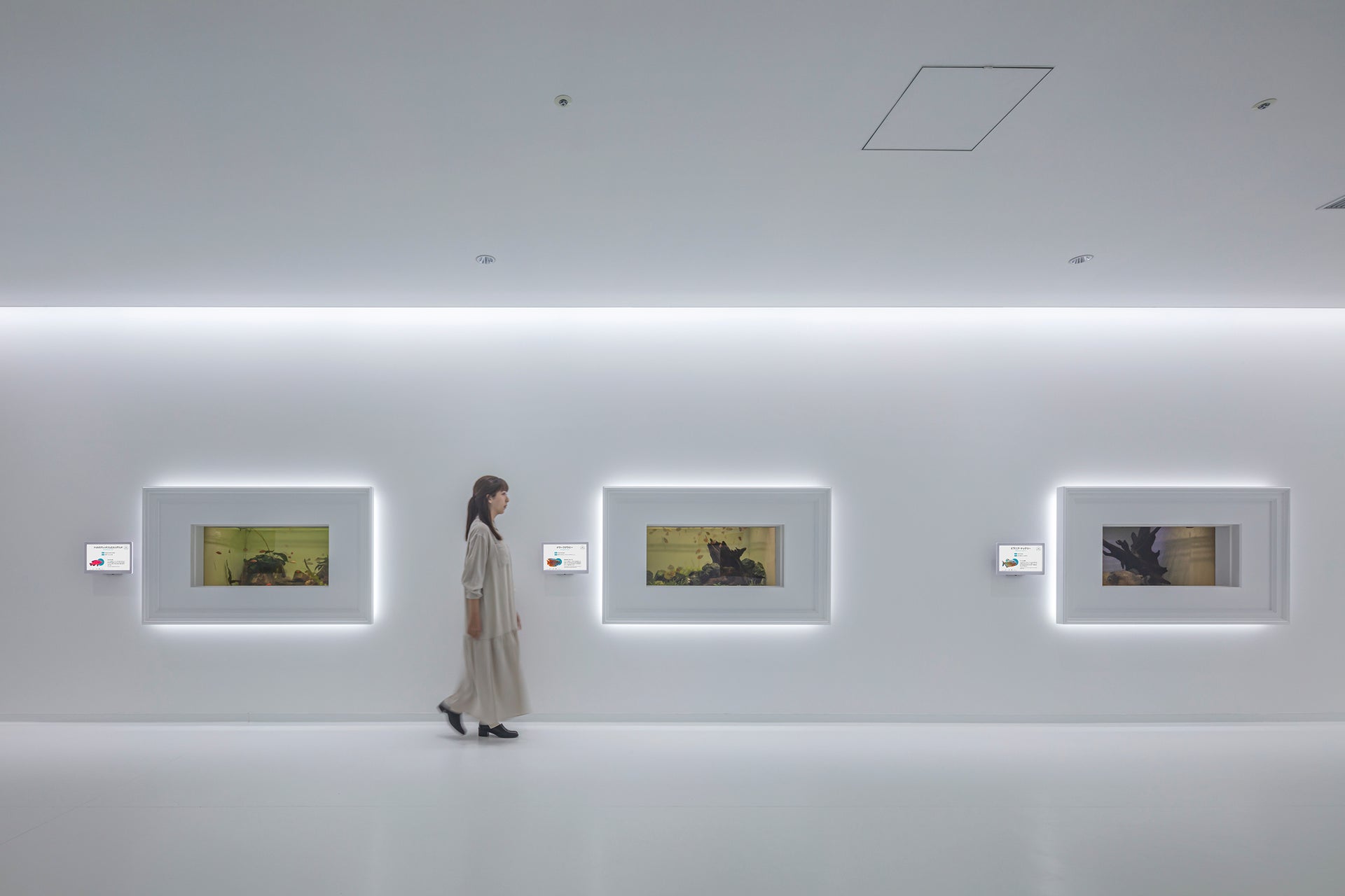 ファーストビューの画像