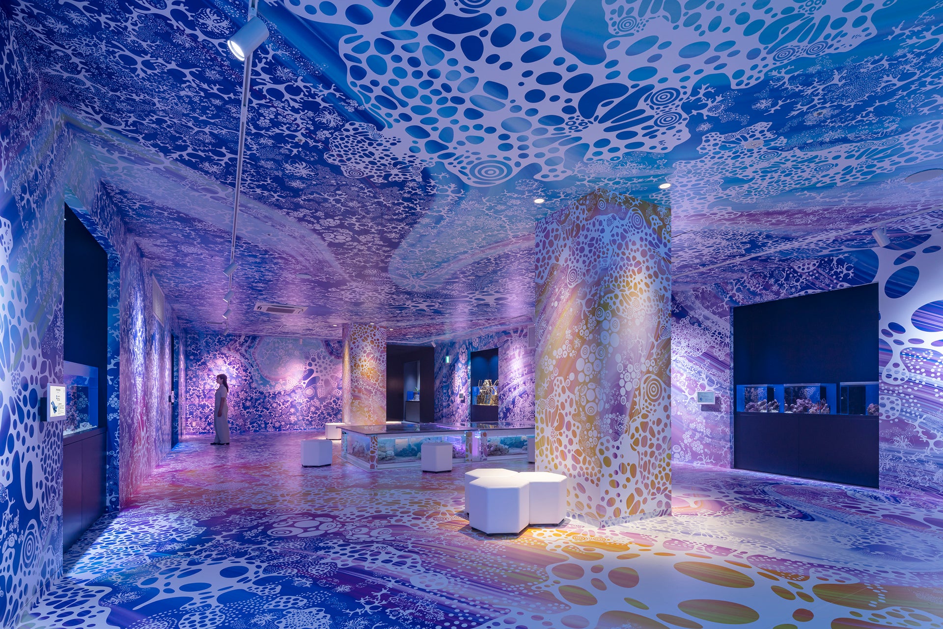 ファーストビューの画像