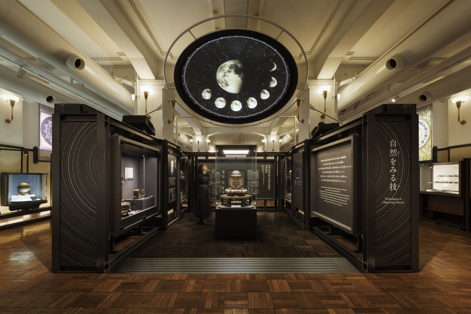 国⽴科学博物館 ⽇本館1階南翼「⾃然をみる技」リニューアル1