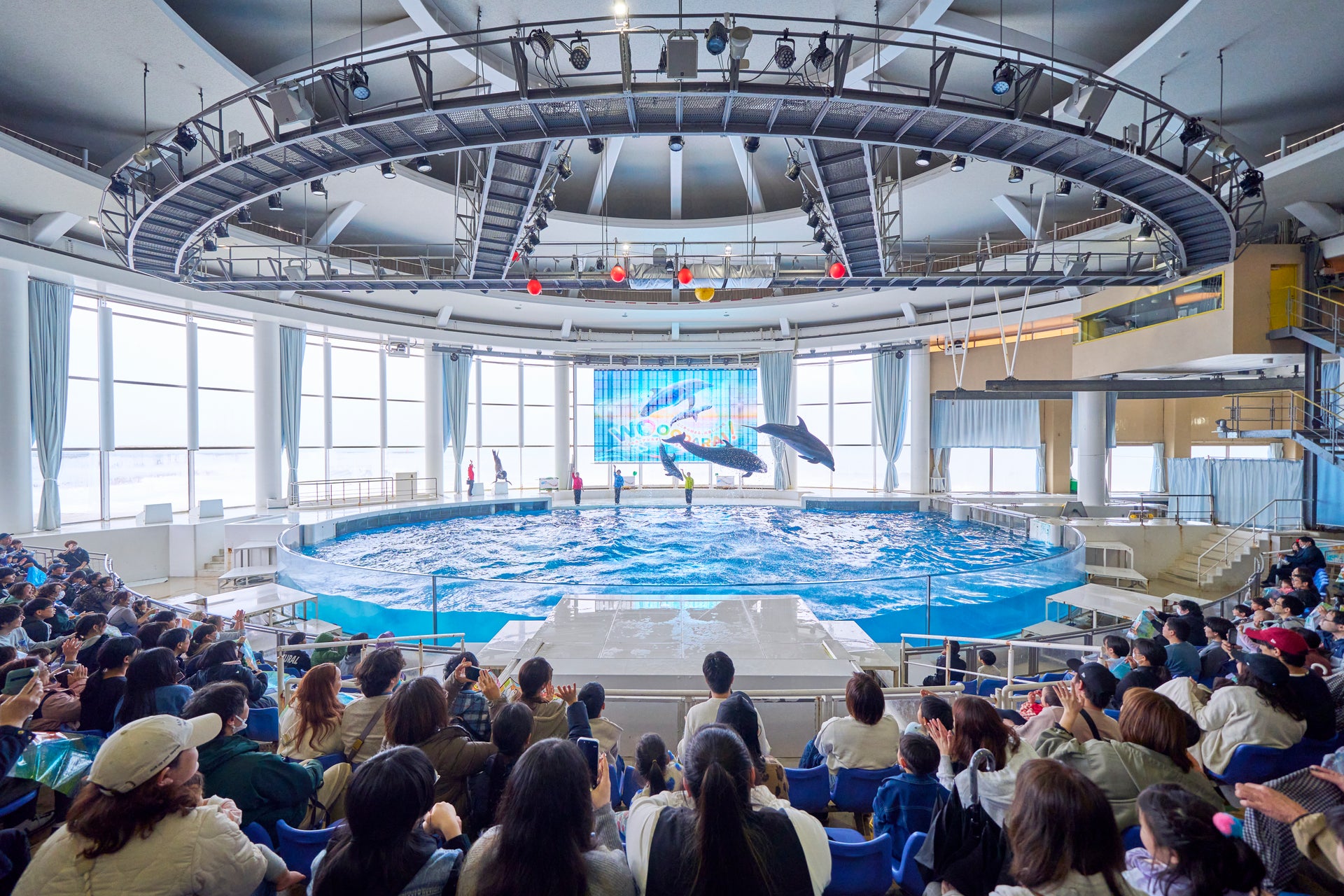 アクアワールド茨城県大洗水族館 イルカ・アシカオーシャンライブ1