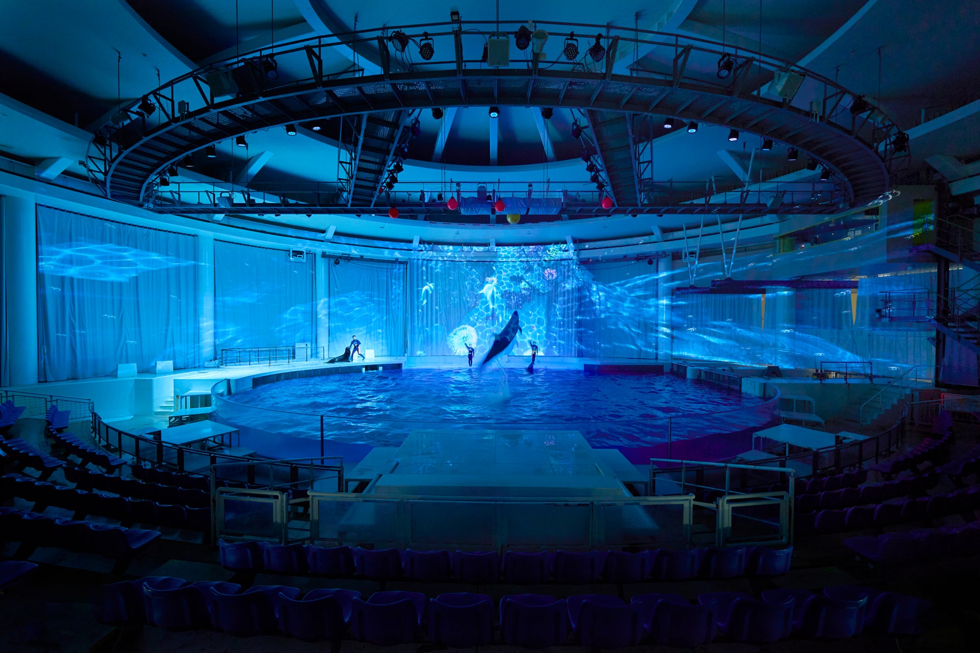 アクアワールド茨城県大洗水族館 イルカ・アシカオーシャンライブ3